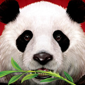 Wild Panda casino slot game