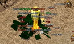 176���Ű�֪ʶ�ʴ��ȫ���������ɻ�