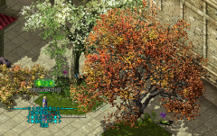 ��Ծ�������ؼ���ʡʱʡ��������淨