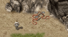 ���ֱؿ��������߹ȵĽ�ҷ�ʦ�ջ�����ȫ���ԡ�