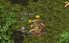 ��Խ�Թ������գ��귨��½�Ĵ���֮��